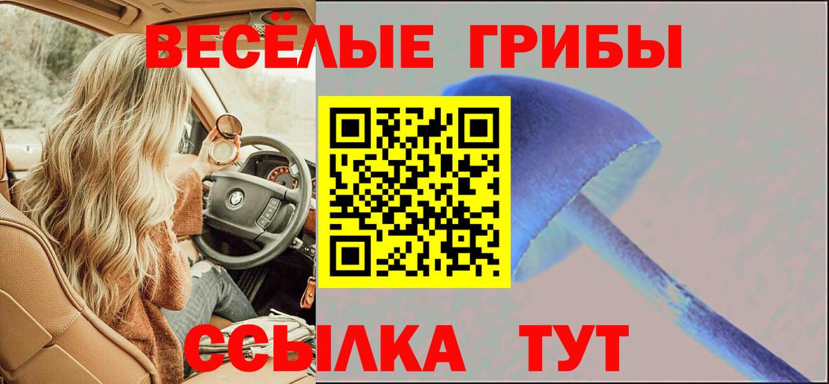 Галлюциногенные грибы мицелий  Псилоцибиновые грибы мухоморы  как найти закладки  Вход с VPN  Заинск 