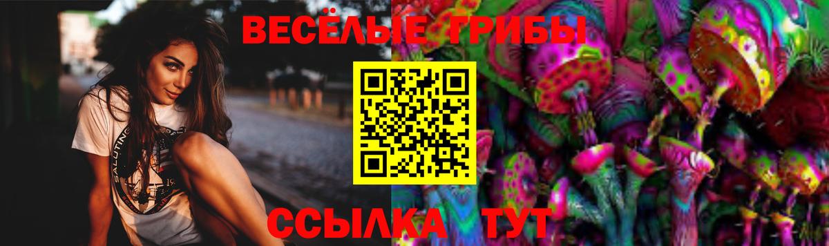 Галлюциногенные грибы ЛСД Заинск